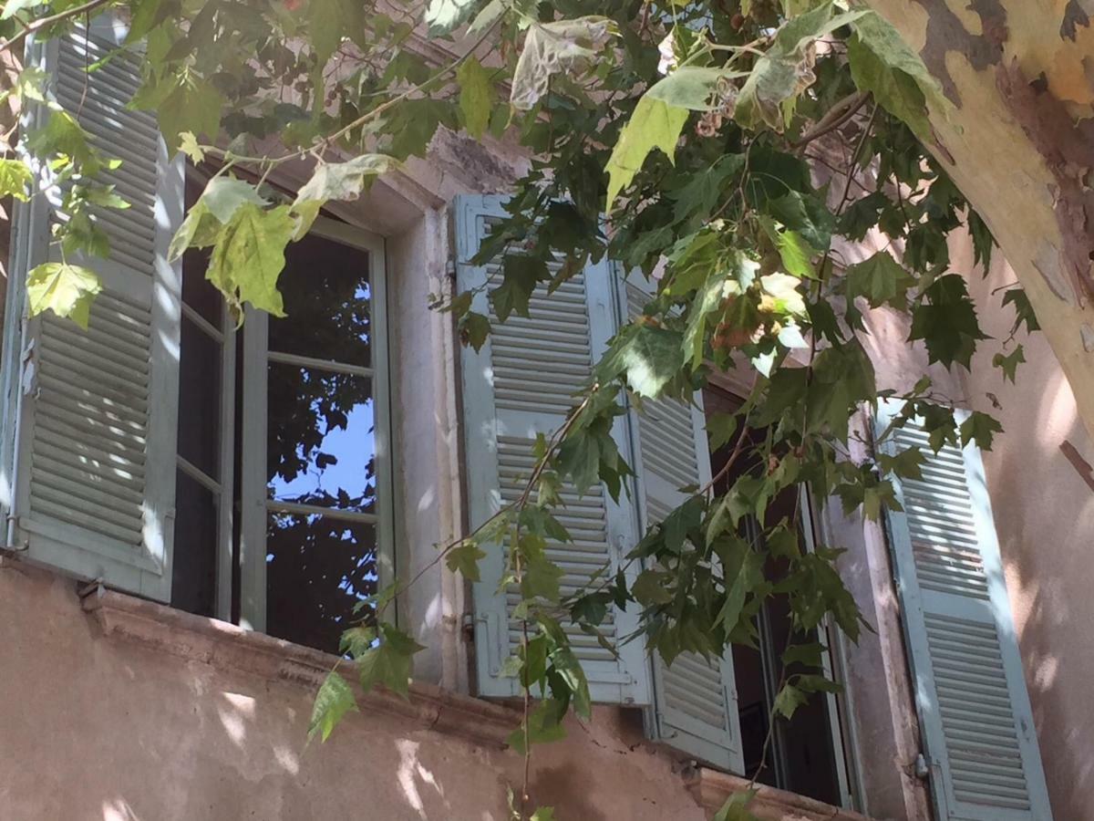 Plaisance Avignon