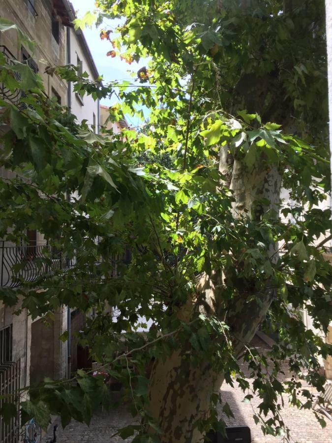 Plaisance Apartment Avignon