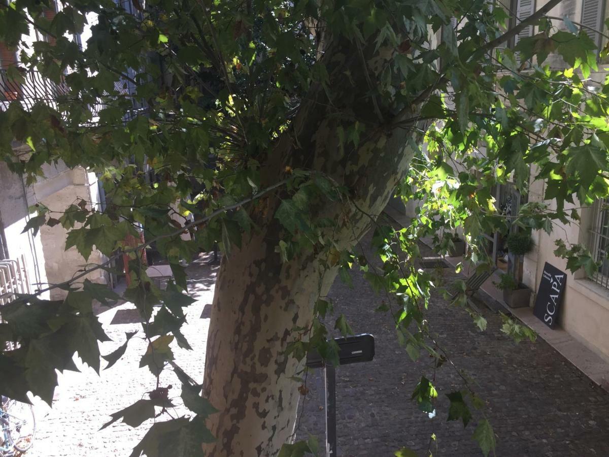 Plaisance Apartment Avignon