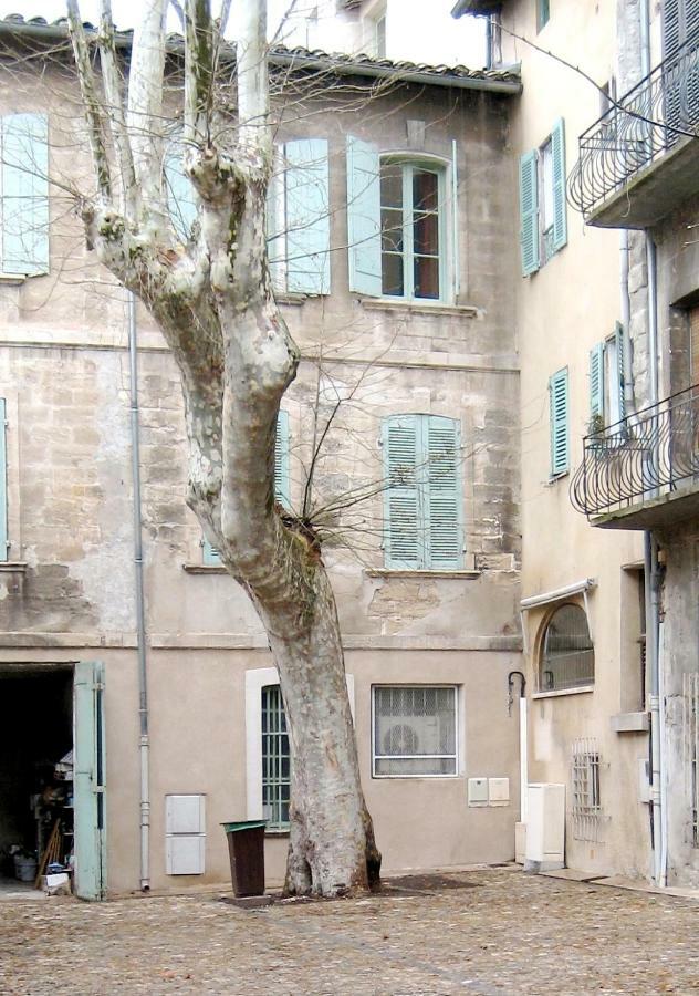 Plaisance Avignon